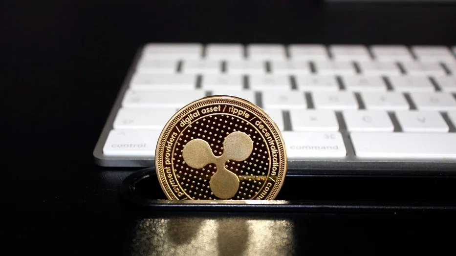 Pourquoi les pièces stables sont la devise de prédilection pour les paris cryptographiques | Pourquoi les pieces stables sont la devise de predilection pour